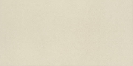 American Olean Neoconcrete 12" x 24"-Porcelain Tile-American Olean-White Polished-12" x 24"-State Tile