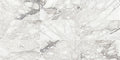 Daltile Marble 12" x 24"-Marble Tile-Daltile-Venetian Calacatta Honed-12" x 24"-State Tile