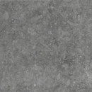 Daltile Diplomacy Paver 24" x 24"-Porcelain Paver-Daltile-Light Grey Textured-24" x 24"-State Tile