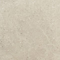 Daltile Dignitary Paver 24" x 24"-Porcelain Paver-Daltile-Notable Beige Textured-24" x 24"-State Tile