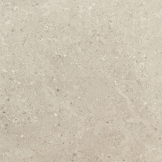 Daltile Dignitary Paver 24" x 24"-Porcelain Paver-Daltile-Notable Beige Textured-24" x 24"-State Tile