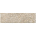 American Olean Historic Limestone 2" x 8"-Porcelain Tile-American Olean-Native-2" x 8"-State Tile