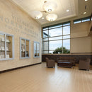 American Olean St Germain 12" x 24"-Porcelain Tile-American Olean-State Tile