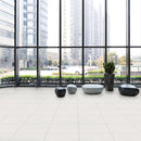 American Olean Minimum 12" x 24"-Porcelain Tile-American Olean-State Tile