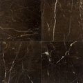 Daltile Marble 12" x 12"-Marble Tile-Daltile-St. Laurent Oriental Polished-12" x 12"-State Tile