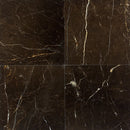 Daltile Marble 12" x 12"-Marble Tile-Daltile-St. Laurent Oriental Polished-12" x 12"-State Tile