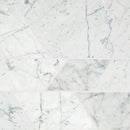 Daltile Marble Modern Polished 12" x 12"-Marble Mosaic-Daltile-Carrara White Polished-12" x 12"-State Tile
