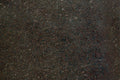Daltile Granite 12" x 24"-Granite Tile-Daltile-Tan Brown-12" x 24"-State Tile