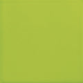 American Olean Color Story Wall 4" x 16"-Ceramic Tile-American Olean-Green Apple-4" x 16"-State Tile