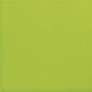 American Olean Color Story Wall 4" x 16"-Ceramic Tile-American Olean-Green Apple-4" x 16"-State Tile