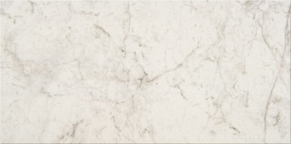 American Olean Mythique Marble 12" x 24"-Porcelain Tile-American Olean-Altissimo Matte-12" x 24"-State Tile