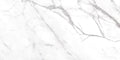 Daltile Costar 12" x 24"-Porcelain Tile-Daltile-Calacatta Empire-12" x 24"-State Tile