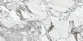 Daltile Marble Attache Lavish 12" x 24"-Porcelain Tile-Daltile-Pearl Arabesque Matte-12" x 24"-State Tile
