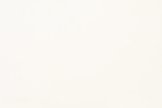 Daltile Marble 12" x 24"-Marble Tile-Daltile-Thassos Snow White Honed-12" x 24"-State Tile