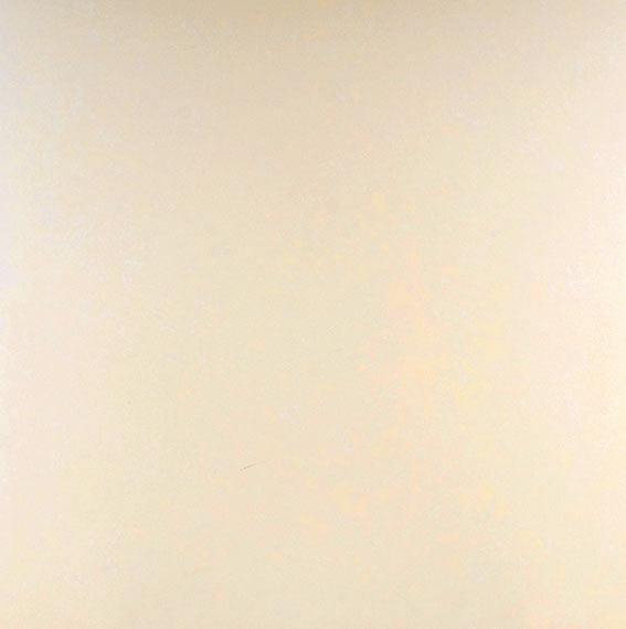 Daltile Unity 12" x 24"-Porcelain Tile-Daltile-Beige-12" x 24"-State Tile