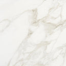 Marazzi Marble Obsession 24" x 24"-Porcelain Tile-Marazzi-Arabescato Matte-24" x 24"-State Tile