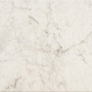 American Olean Mythique Marble 24" x 24"-Porcelain Tile-American Olean-Altissimo Matte-24" x 24"-State Tile