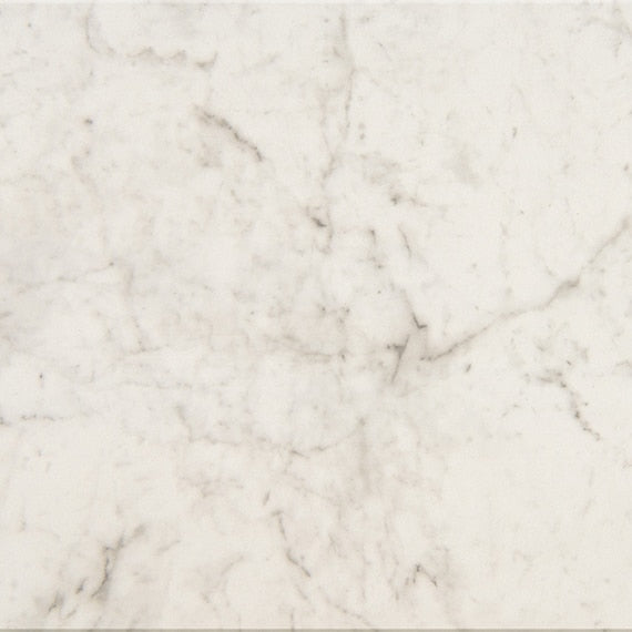 American Olean Mythique Marble 24" x 24"-Porcelain Tile-American Olean-Altissimo Matte-24" x 24"-State Tile