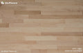 Ua Floors Grecian Collection 4.75" x RL-Hardwood Plank-Ua Floors-Maple Natural-4.75" x RL-State Tile