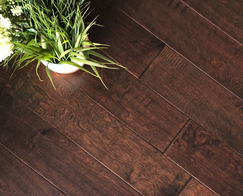 Signature Collection Barren Prairie Birch 5" x RL