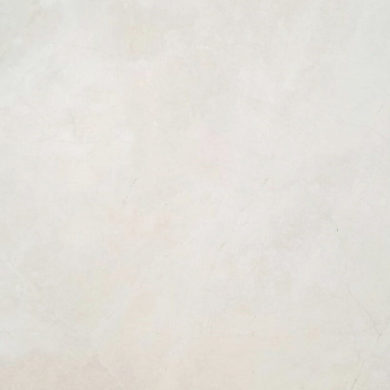 Atlantic Stone Source Marble Tiles 18" x 18"-Marble Tile-Atlantic Stone Source-Snow White A Marble-18" x 18"-State Tile