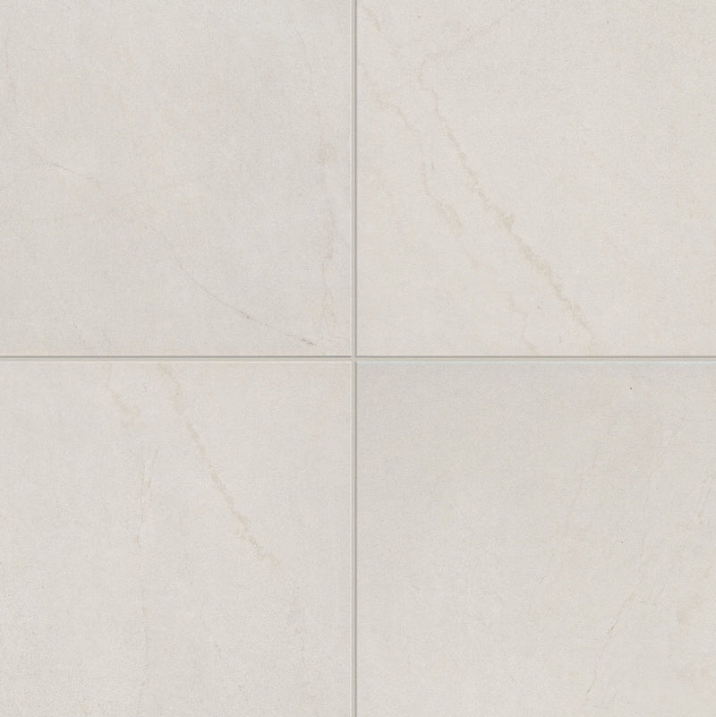 Daltile C.F. Prime 12" x 12"-Ceramic Tile-Daltile-White-12" x 12"-State Tile