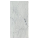 Soho Studio White Carrara 12" x 24"